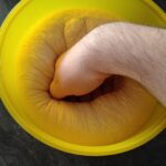 Subway Sandwich
